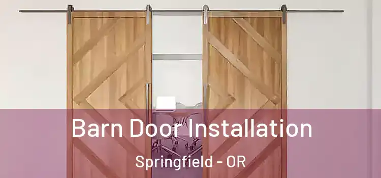 Barn Door Installation Springfield - OR