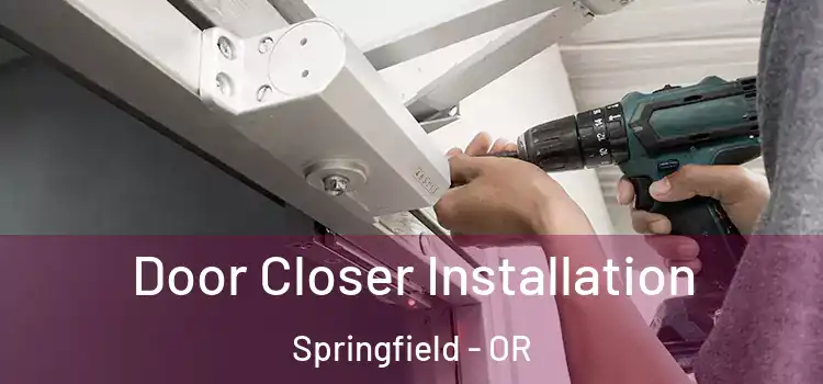 Door Closer Installation Springfield - OR