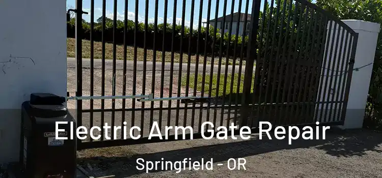 Electric Arm Gate Repair Springfield - OR