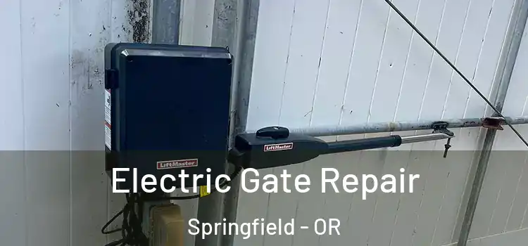 Electric Gate Repair Springfield - OR