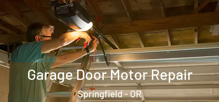  Garage Door Motor Repair Springfield - OR