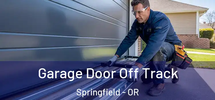  Garage Door Off Track Springfield - OR