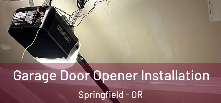  Garage Door Opener Installation Springfield - OR