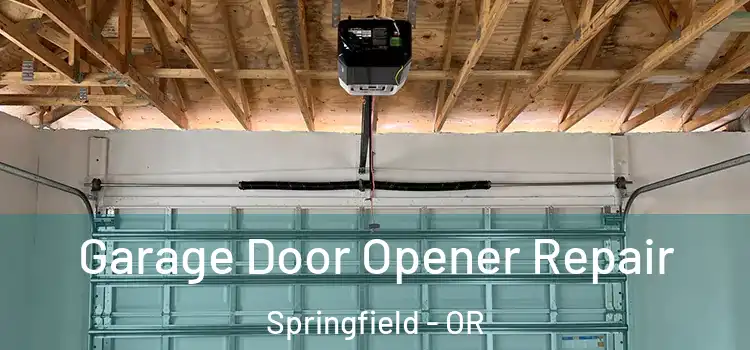  Garage Door Opener Repair Springfield - OR