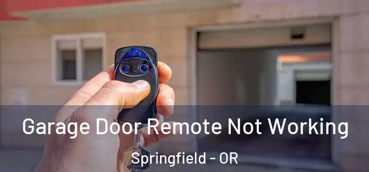 Garage Door Remote Not Working Springfield - OR