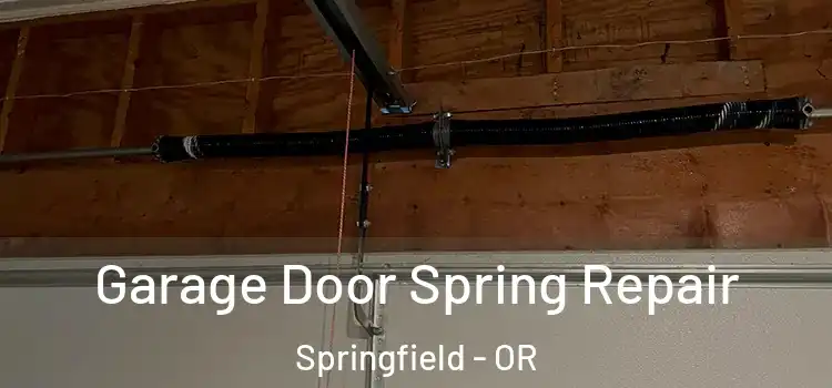  Garage Door Spring Repair Springfield - OR