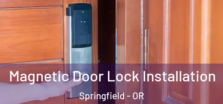  Magnetic Door Lock Installation Springfield - OR