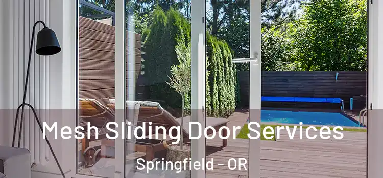 Mesh Sliding Door Services Springfield - OR