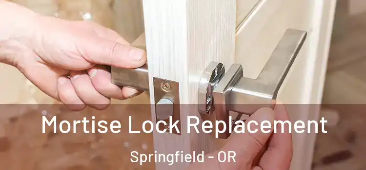 Mortise Lock Replacement Springfield - OR