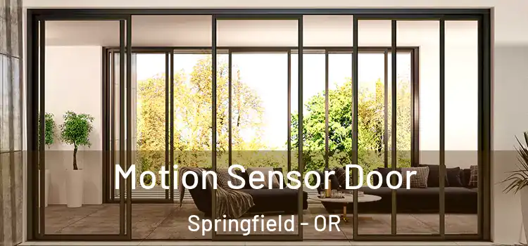Motion Sensor Door Springfield - OR