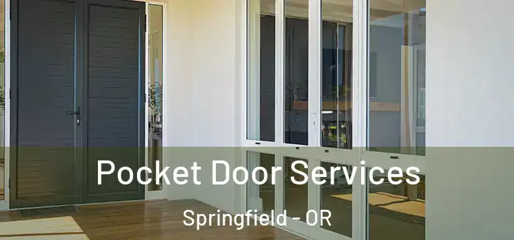 Pocket Door Services Springfield - OR