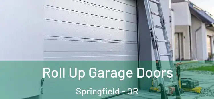  Roll Up Garage Doors Springfield - OR