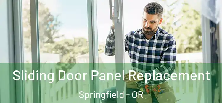  Sliding Door Panel Replacement Springfield - OR